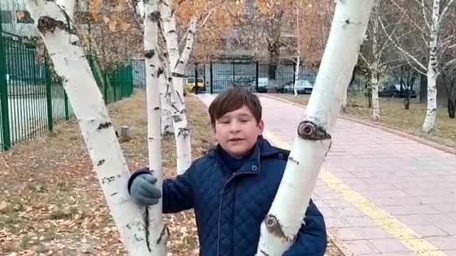 "Я - экоблогер". Экологический репортаж со школьного двора смотреть онлайн