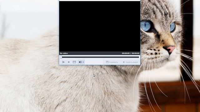 AVS Video Editor как пользоваться ( AVS Video Editor Обзор программы)