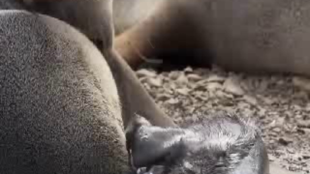 Застывшая планета.Лето смотреть онлайн