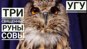 Сова Ёль накопила угушек и расчехлила свой УГУмёт