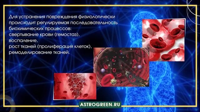 Водолей в организме и системе | Astrogreen смотреть онлайн