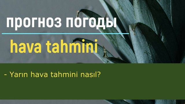 5 Нужные слова и фразы на турецком языке. Как будет по-турецки..... Турецкий язык. смотреть онлайн