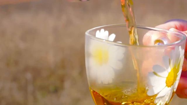 Малый Утриш. Дорога к солнцу 6. смотреть онлайн