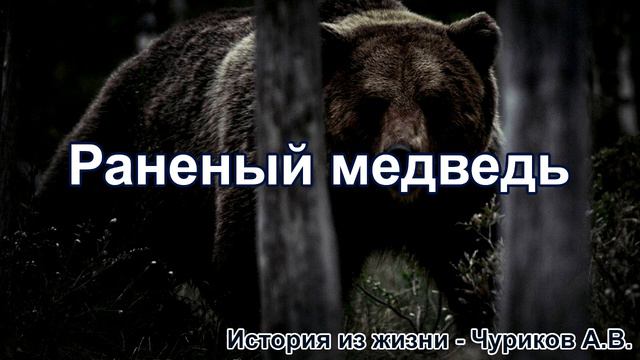 Раненый медведь. Чуриков А.В. Истории из жизни. МСЦ ЕХБ смотреть онлайн