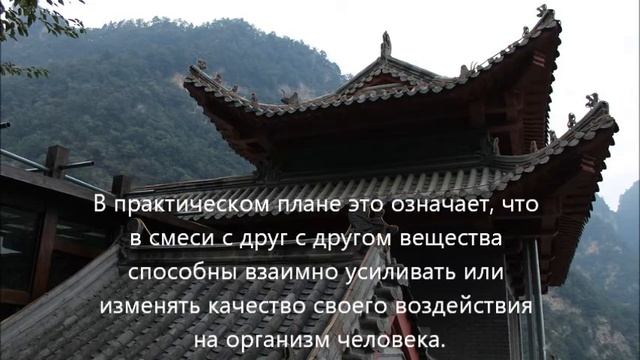Целебные смеси на основе зелёного чая. смотреть онлайн
