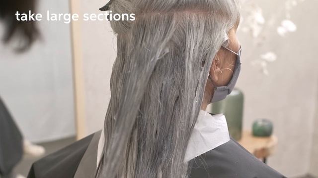 How To Do An Express Silver Glow Service By True Grey To Make Grey Hair Shine | Wella Professionals