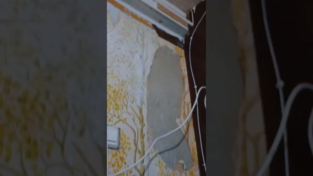 Сколько стоит демонтаж вторички // Петришин строй #ремонт #шортс смотреть онлайн