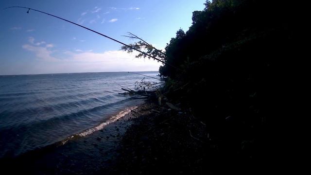 Монтаж донки старый или новый смотреть онлайн