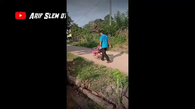 Kumpulan Video Lucu Bikin Sakit Perut