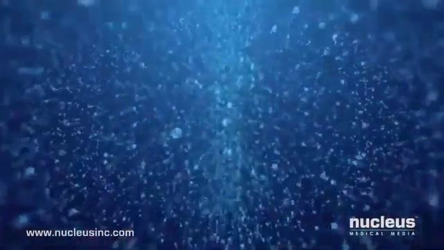 !!! ЭТО ИНТЕРЕСНО !!! Оплодотворение яйцеклетки смотреть онлайн