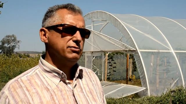О винограде и перголе смотреть онлайн