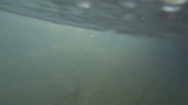 Ч. 2. Сплав по реке Ресса смотреть онлайн