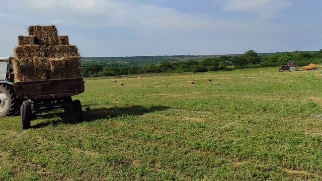 сено заготовка 2021 смотреть онлайн