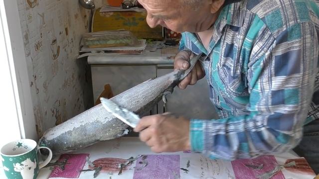 Чистим мёрзлую КЕТУ Срезаем чешую ножом смотреть онлайн