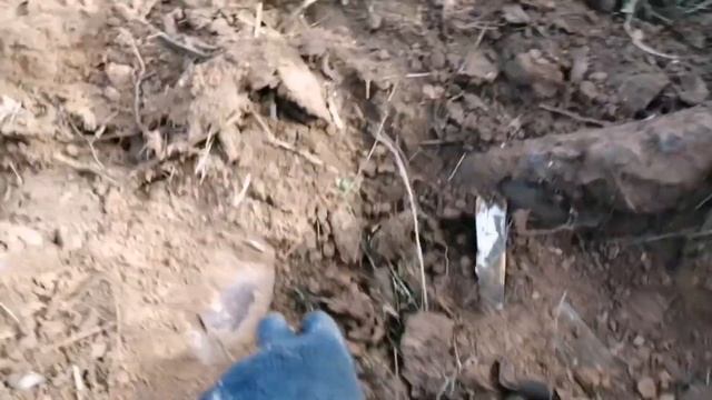 ТОПОВЫЕ НАХОДКИ. МЕТАЛЛАКОП НА ПОЛЕ ЧУДЕС. смотреть онлайн