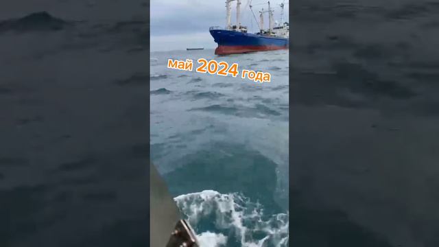 Сима в море #рыбалка #сима смотреть онлайн