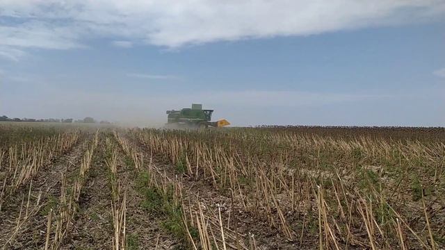 Пионер 66. Гибрид один - результаты разные смотреть онлайн