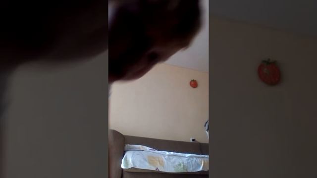 Как пользоваться колонкой смотреть онлайн