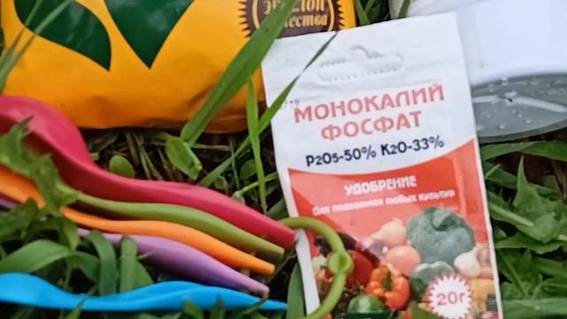 Простой способ получить крупные головки чеснока.10.06.2022 смотреть онлайн