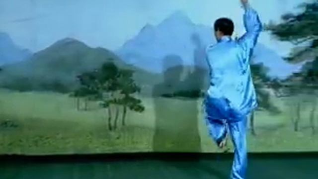 BaGua Liang Style BaGua Footwork