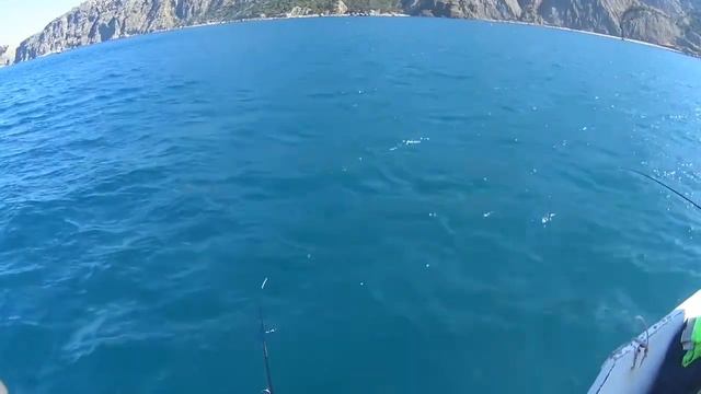 Балаклава ставрида 31 05 2019 ловим на самодур, пилькер и стример. смотреть онлайн