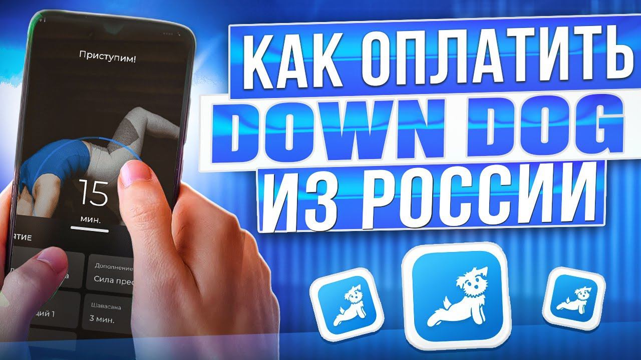 Как оплатить Down Dog из России в 2024 году смотреть онлайн