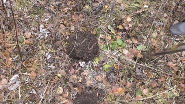 Не спрашивайте меня откуда здесь это появилось-я сам не знаю? третья серия смотреть онлайн