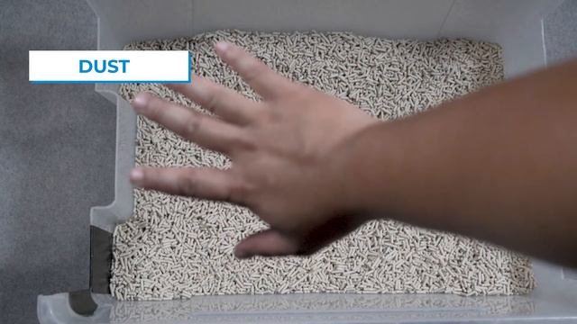 Cat Litter Pellets Review: Kit Cat Soya Clump Cat Litter смотреть онлайн