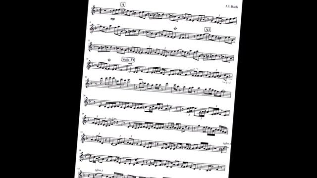 Johann Sebastian Bach - Bouree In E Minor- On Harmonica by Gerrit van Hagen смотреть онлайн