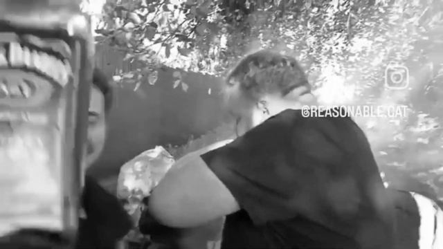 Харлей Дэвидсон