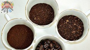 Как проверить качество кофе: молотого и в зернах!