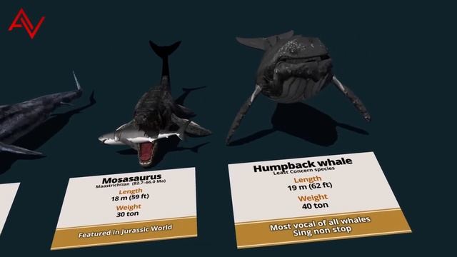Crazy Sea Monsters Size Comparison 3D