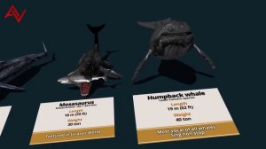 Crazy Sea Monsters Size Comparison 3D