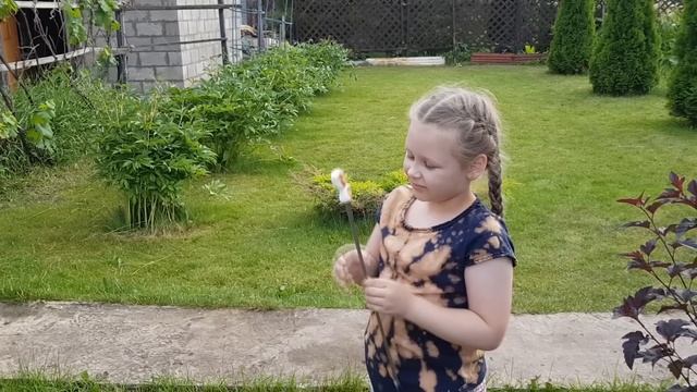 Дача2: ваши вопросы, фест клубники, тихая ночь и готовка смотреть онлайн