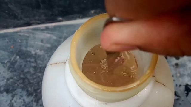 Growing English Rose Without Soil/Leibak Yaodabi Atargulab Thaba