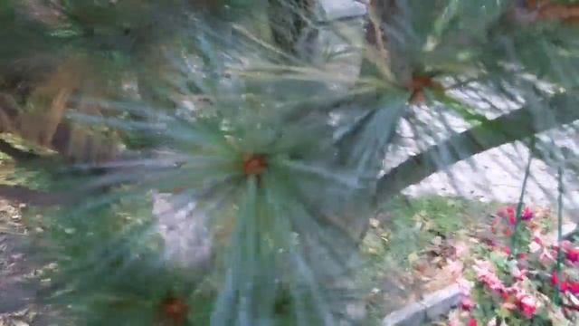 VLOG | СУЗДАЛЬ ??? смотреть онлайн