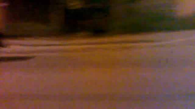 Дикий кабан бежит со скростью 70 км/ч по улице Петербурга. смотреть онлайн