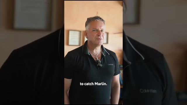 Офис Рольфа Зорга в Сан Тропе!