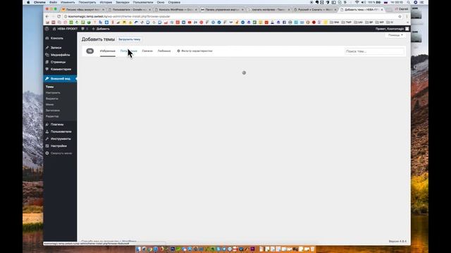 Знакомство с консолью WordPress смотреть онлайн
