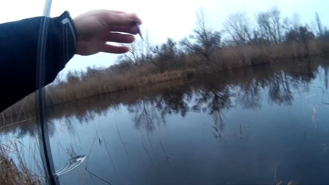 Предновогодний микроджиг. Знакомство с Crazy Fish