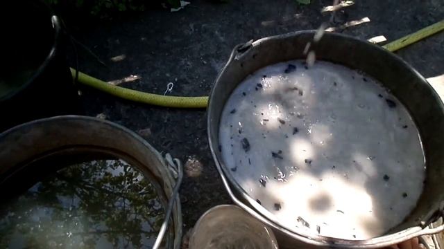Полив молодых кустов винограда смотреть онлайн