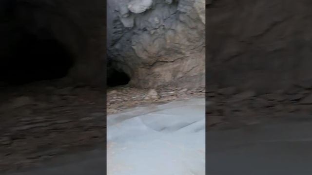 Мамонтова пещера смотреть онлайн