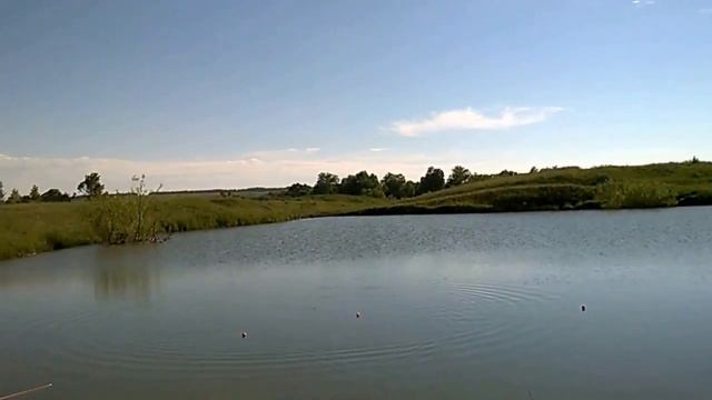 Обзор китайской сетки с кормушкой часть 2 смотреть онлайн