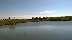 Обзор китайской сетки с кормушкой часть 2