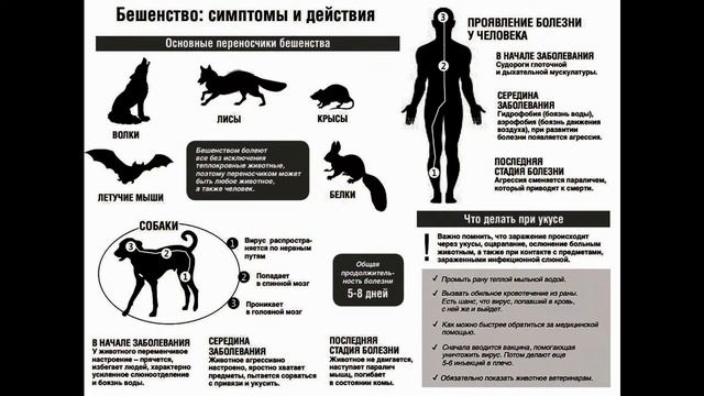 Вампиры: по ту сторону мифа смотреть онлайн