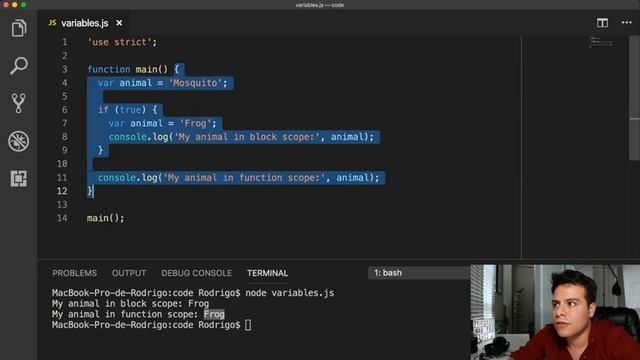 JavaScript Basics: Variables. Var, let, and const смотреть онлайн