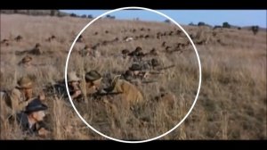 «Радужная нация». Краткая история ЮАР