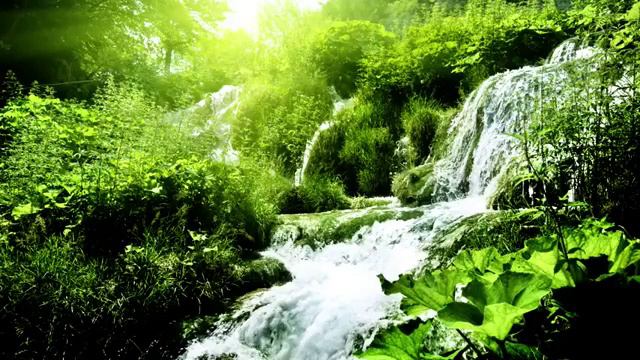 1 Час Музыка для Медитации и Релаксации Сознания и Тела Исцеляющая Музыка, Расслабляющая 010 смотреть онлайн