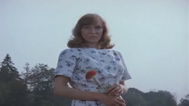 Семейный альбом фильм1978 & талисман Telesme Schekaste смотреть онлайн