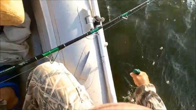 СОМ. КВОК. Наконец то Батя обрыбился. смотреть онлайн